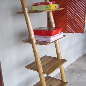 shelf.ladder with stand.1